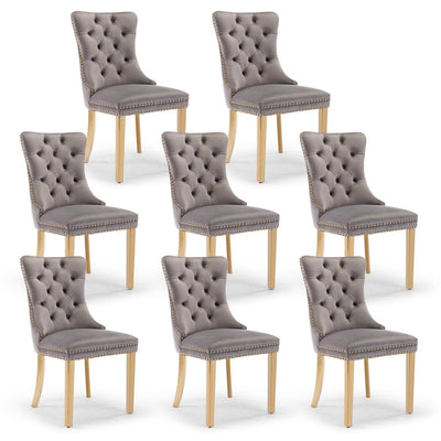 AADEN Velvet Dining Chairs Set of 2