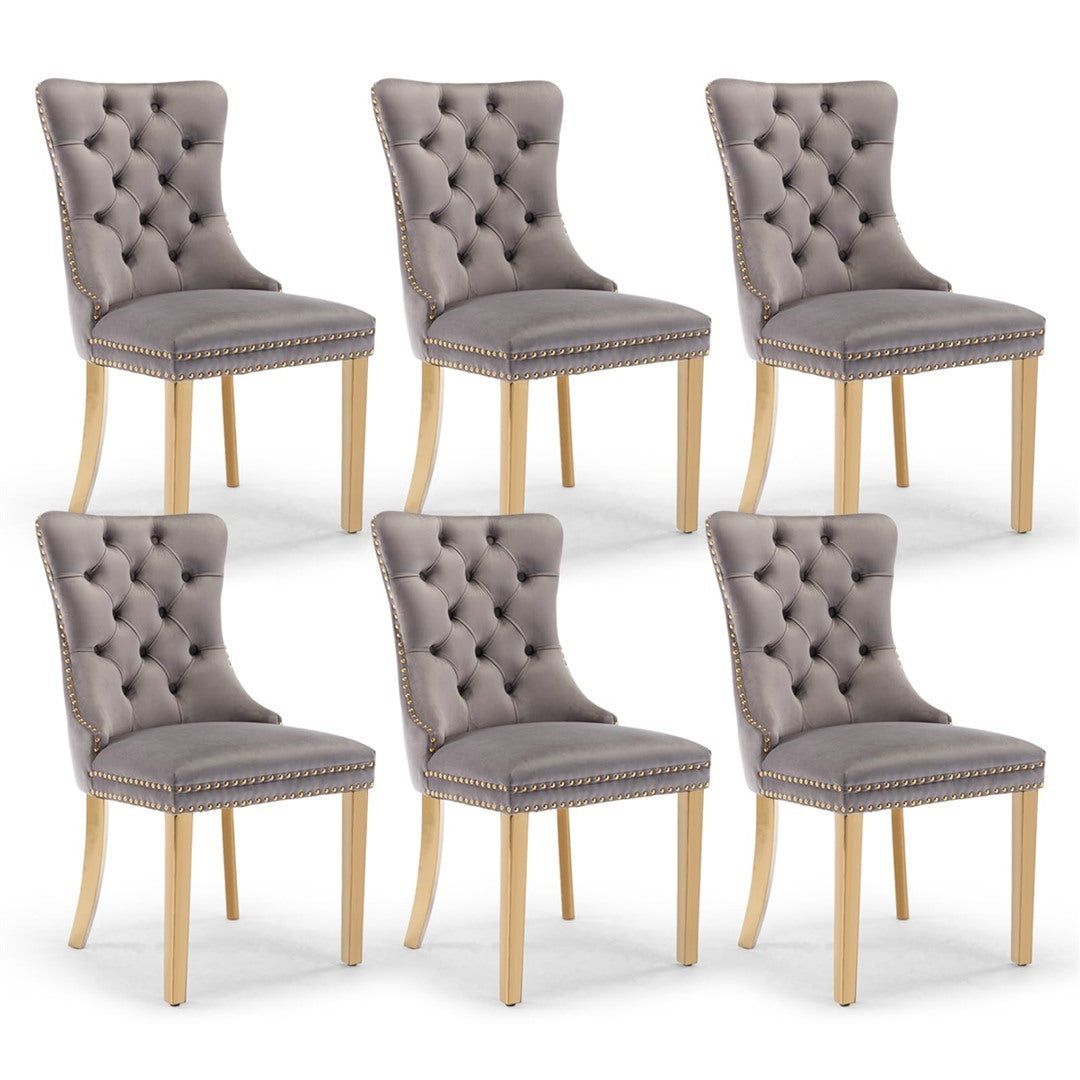 AADEN Velvet Dining Chairs Set of 2