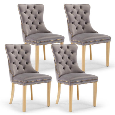 AADEN Velvet Dining Chairs Set of 2