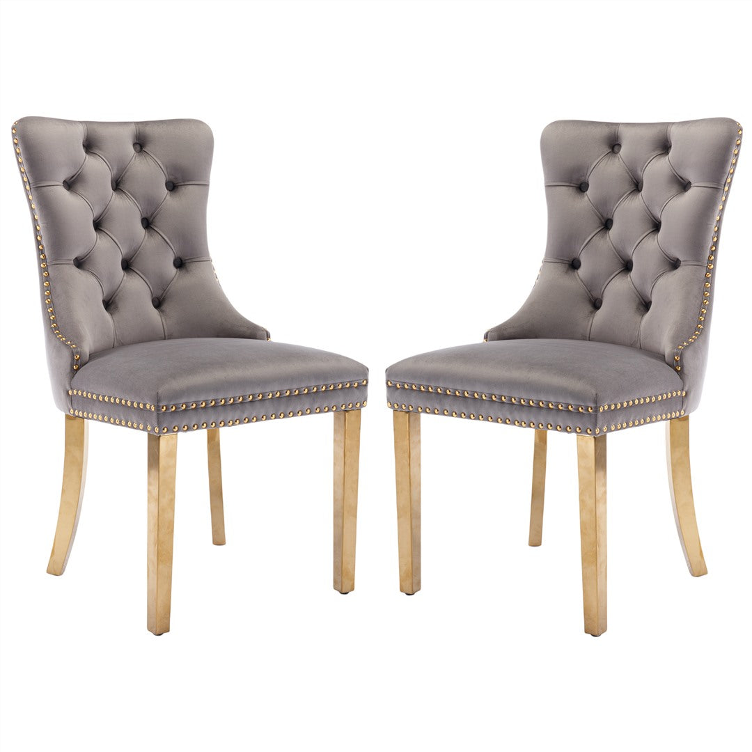 AADEN Velvet Dining Chairs Set of 2