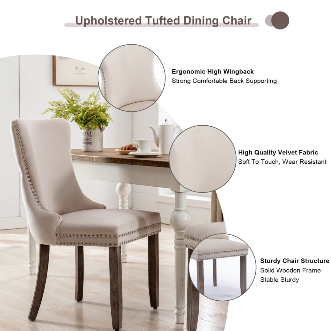 EVO Dinning Chairs Set of 2