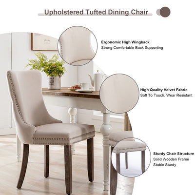 EVO Dinning Chairs Set of 2