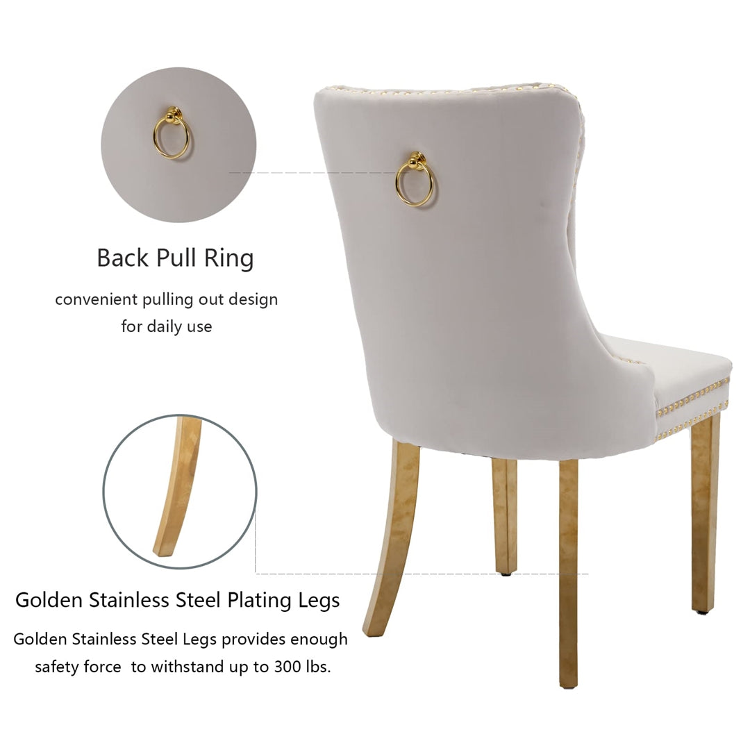 AADEN Velvet Dining Chairs Set of 2