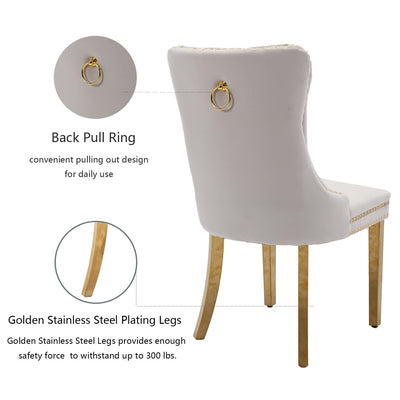 AADEN Velvet Dining Chairs Set of 2