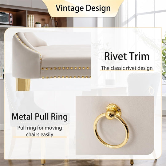 AADEN Velvet Dining Chairs Set of 2