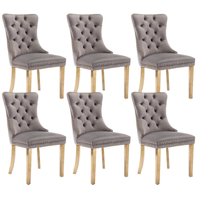 AADEN Velvet Dining Chairs Set of 2