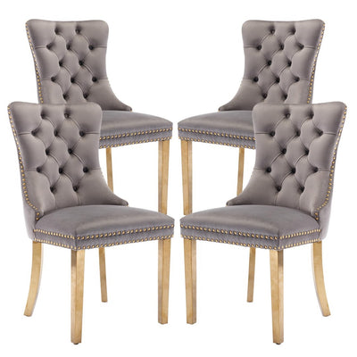 AADEN Velvet Dining Chairs Set of 2