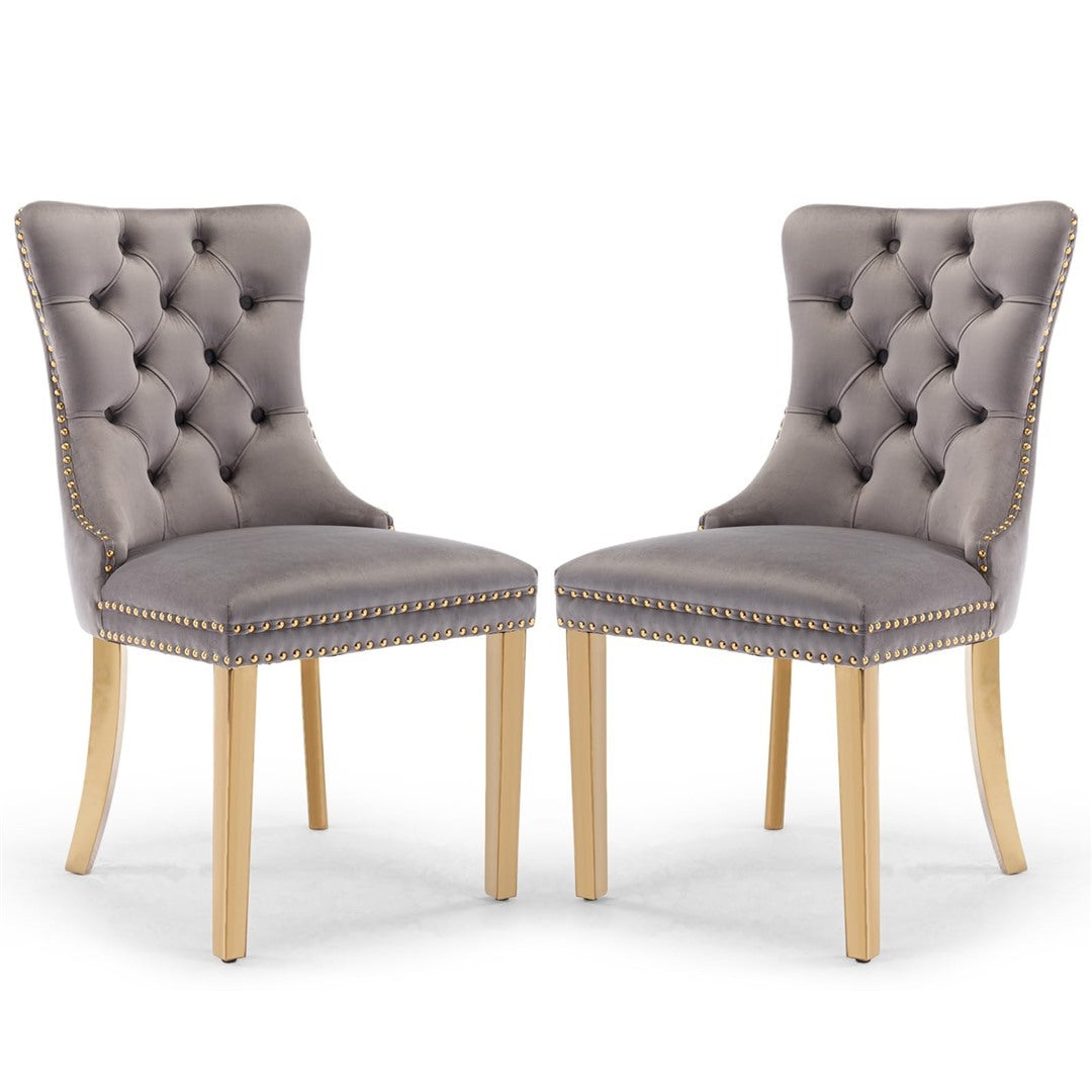 AADEN Velvet Dining Chairs Set of 2